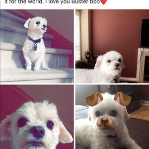 Meet your Posher, Nelia